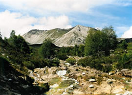 Beinn Eighe          Copyright:  Tom Forrest